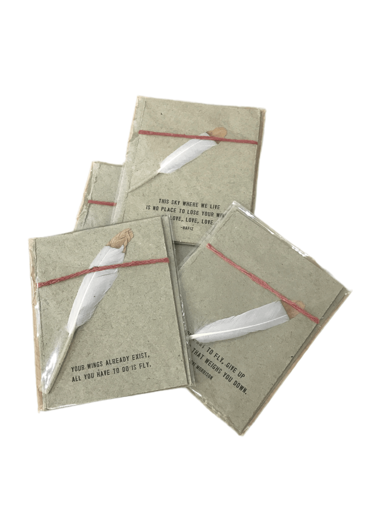 Feather Card Sugarboo Designs Greeting & Note Cards