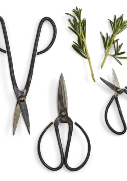 Forged Iron Garden Shears Mattie B's Gifts & Apparel